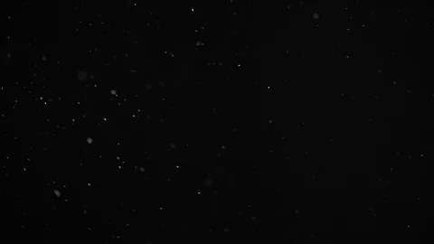 Natural Dust Particles Float On Black Background. Dust In Motion. Stock Footage 104209192