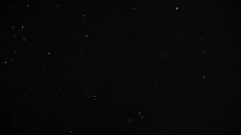Natural Dust Particles Float On Black Background. Dust In Motion. Stock Footage 104209216