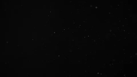 Natural Dust Particles Float On Black Background. Dust In Motion. Stock-Footage 104209329