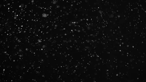 Natural Dust Particles Float On Black Background. Dust In Motion. Stock Footage 104209374