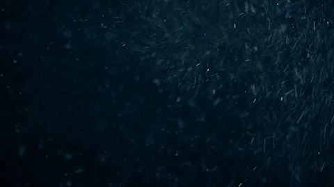 Natural Dust Particles Float On Black Background. Dust In Motion. Stock-Footage 104240320