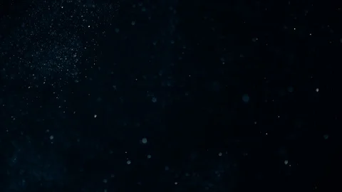 Natural Dust Particles Float On Black Background. Dust In Motion. Stock-Footage 104241012