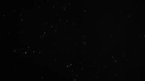Natural Dust Particles Float On Black Background. Dust In Motion. Stock Footage 104241441