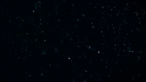 Natural Dust Particles Float On Black Background. Dust In Motion. Stock-Footage 104242193