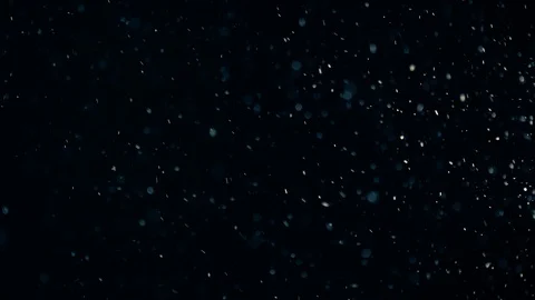 Natural Dust Particles Float On Black Background. Dust In Motion. Stock-Footage 104242600