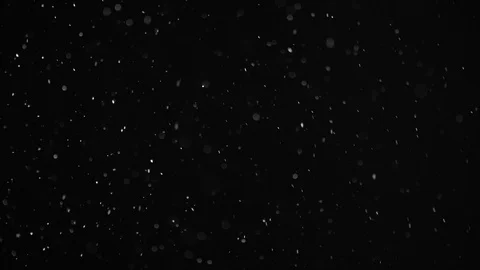 Natural Dust Particles Float On Black Background. Dust In Motion. Stock Footage 104243102