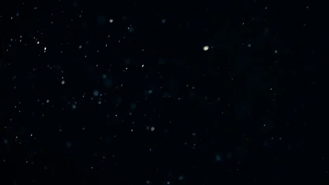 Natural Dust Particles Float On Black Background. Dust In Motion. Stock-Footage 104243795