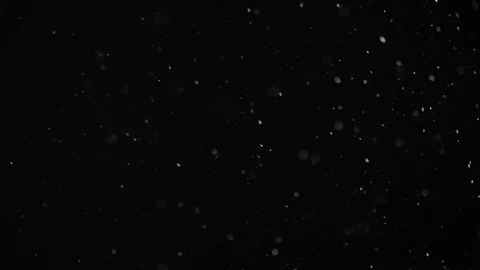 Natural Dust Particles Float On Black Background. Dust In Motion. Stock Footage 104244146