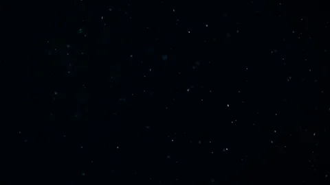 Natural Dust Particles Float On Black Background. Dust In Motion. Stock Footage 104244162