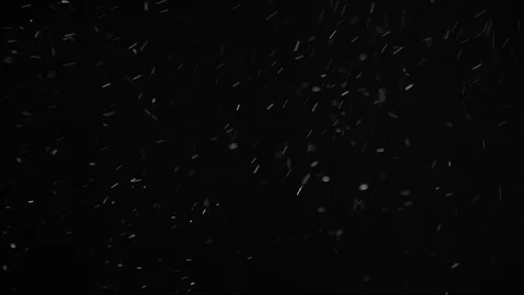 Natural Dust Particles Float On Black Background. Dust In Motion. Stock Footage 104244181