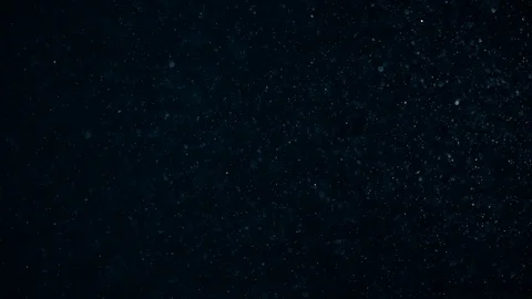 Natural Dust Particles Float On Black Background. Dust In Motion. Stock Footage 104283324