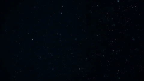 Natural Dust Particles Float On Black Background. Dust In Motion. Stock Footage 104288334