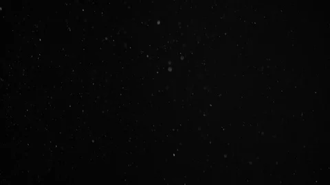 Natural Dust Particles Float On Black Background. Dust In Motion. Stock Footage 104288503