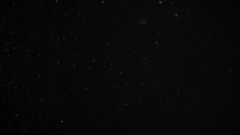 Natural Dust Particles Float On Black Background. Dust In Motion. Stock Footage 104291453