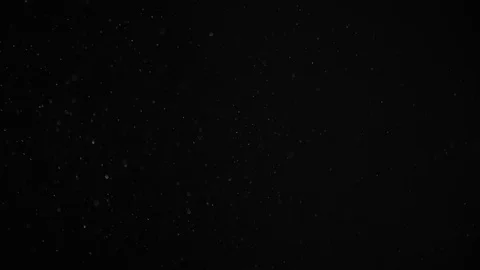 Natural Dust Particles Float On Black Background. Dust In Motion. Stock Footage 104291483