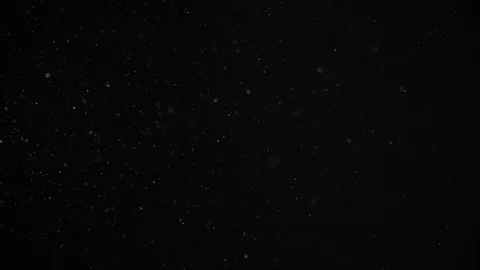 Natural Dust Particles Float On Black Background. Dust In Motion. Stock Footage 104291984