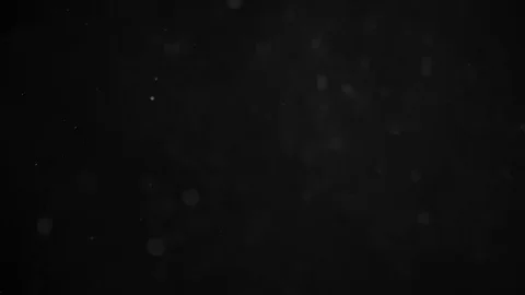 Natural Dust Particles Float On Black Background. Dust In Motion. Stock Footage 104291997