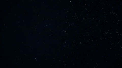 Natural Dust Particles Float On Black Background. Dust In Motion. Stock Footage 104292118