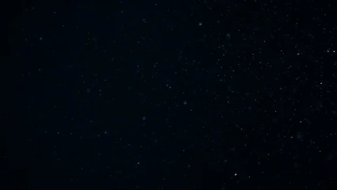 Natural Dust Particles Float On Black Background. Dust In Motion. Stock Footage 104300951