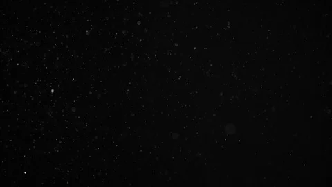 Natural Dust Particles Float On Black Background. Dust In Motion. Stock Footage 104301075