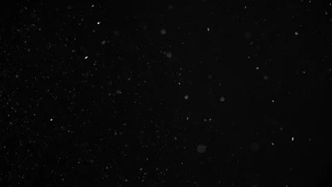 Natural Dust Particles Float On Black Background. Dust In Motion. Stock Footage 104301233