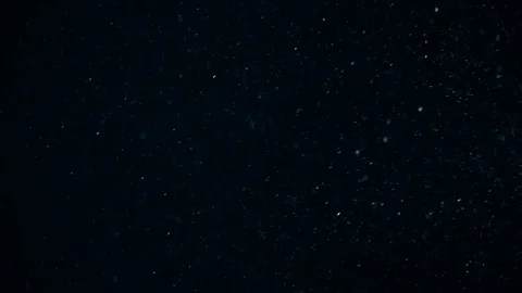 Natural Dust Particles Float On Black Background. Dust In Motion. Stock Footage 104302891