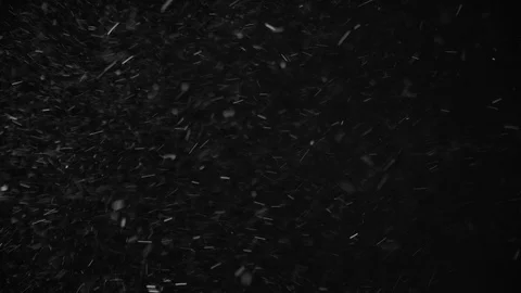 Natural Dust Particles Float On Black Background. Dust In Motion. Stock Footage 104303066