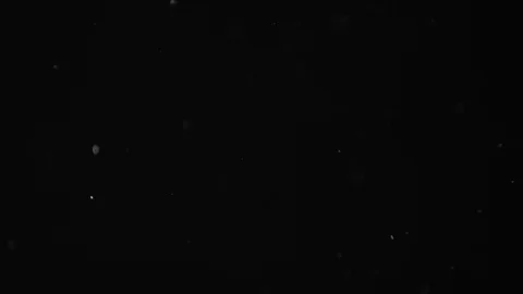 Natural Dust Particles Float On Black Background. Dust In Motion. Stock Footage 104410295