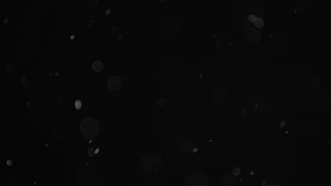 Natural Dust Particles Float On Black Background. Dust In Motion. Stock Footage 104410344
