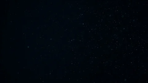 Natural Dust Particles Float On Black Background. Dust In Motion. Stock Footage 104412132
