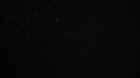 Natural Dust Particles Float On Black Background. Dust In Motion. Stock Footage 104412627