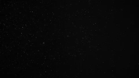 Natural Dust Particles Float On Black Background. Dust In Motion. Stock Footage 104413145
