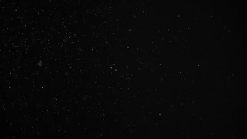 Natural Dust Particles Float On Black Background. Dust In Motion. Stock Footage 104416455