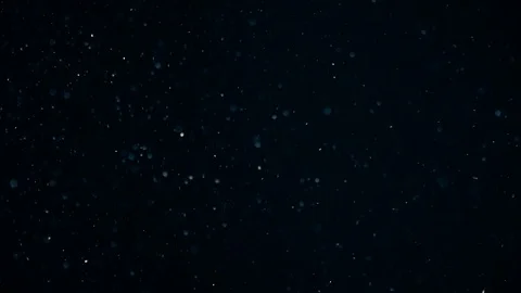Natural Dust Particles Float On Black Background. Dust In Motion. Stock Footage 104419778