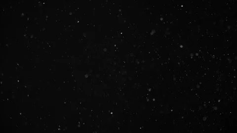 Natural Dust Particles Float On Black Background. Dust In Motion. Stock Footage