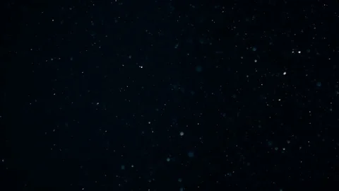 Natural Dust Particles Float On Black Background. Dust In Motion. Stock Footage 104419886