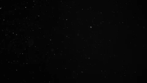 Natural Dust Particles Float On Black Background. Dust In Motion. Stock Footage 104490958