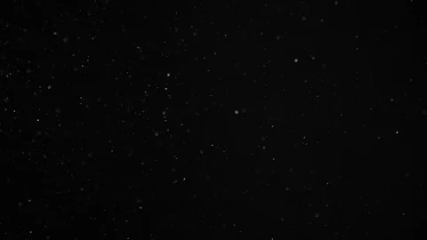 Natural Dust Particles Float On Black Background. Dust In Motion. Stock Footage 104491410
