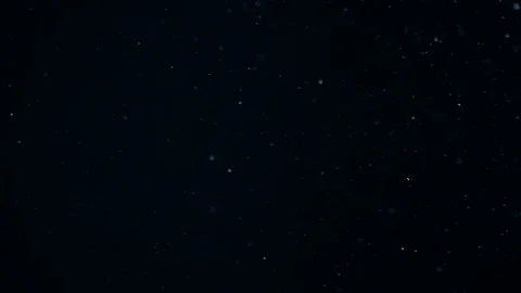 Natural Dust Particles Float On Black Background. Dust In Motion. Stock Footage 104492024