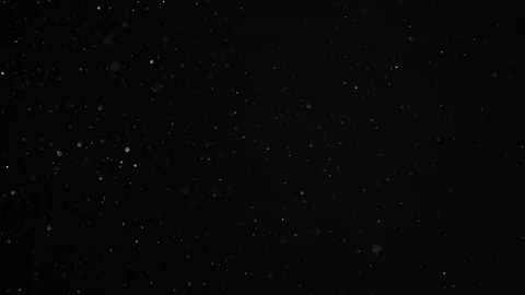 Natural Dust Particles Float On Black Background. Dust In Motion. Stock Footage 104492114