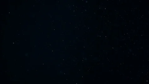 Natural Dust Particles Float On Black Background. Dust In Motion. Stock Footage 104492185