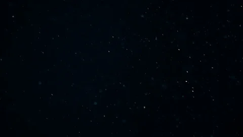 Natural Dust Particles Float On Black Background. Dust In Motion. Stock Footage 104492393