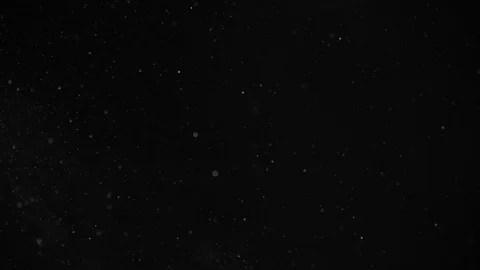 Natural Dust Particles Float On Black Background. Dust In Motion. 스톡 동영상 104504876