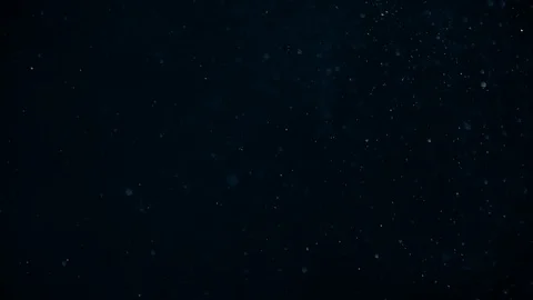 Natural Dust Particles Float On Black Background. Dust In Motion. Stock Footage 104505882