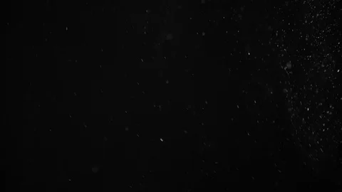 Natural Dust Particles Float On Black Background. Dust In Motion. Stock Footage 104505960