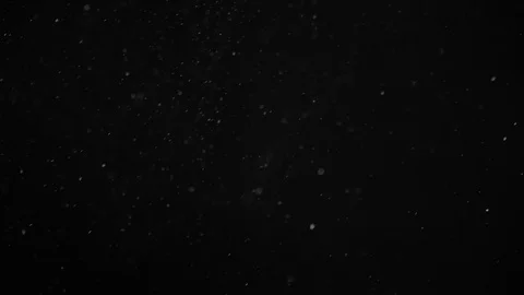 Natural Dust Particles Float On Black Background. Dust In Motion. Stock Footage 104506047