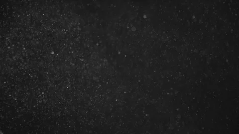 Natural Dust Particles Float On Black Background. Dust In Motion. Stock Footage 104509393