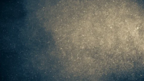 Natural Dust Particles Float On Black Background. Dust In Motion. Stock Footage 104515618