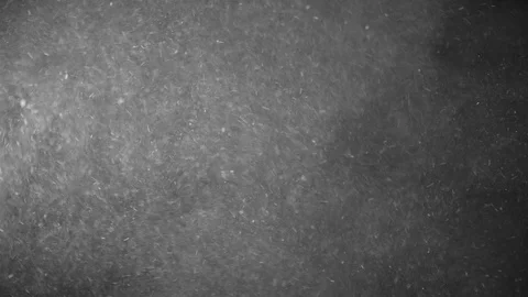 Natural Dust Particles Float On Black Background. Dust In Motion. Stock Footage 104515776