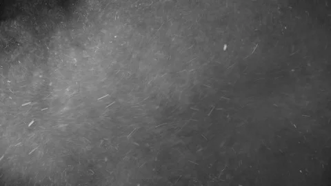 Natural Dust Particles Float On Black Background. Dust In Motion. Stock Footage 104683418